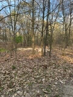 675 Marsh Road, Plainwell, MI, 49080