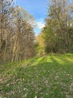 675 Marsh Road, Plainwell, MI, 49080