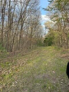 675 Marsh Road, Plainwell, MI, 49080
