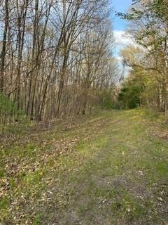 675 Marsh Road, Plainwell, MI, 49080