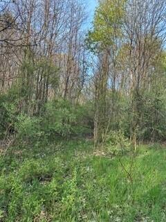 675 Marsh Road, Plainwell, MI, 49080