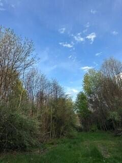 675 Marsh Road, Plainwell, MI, 49080