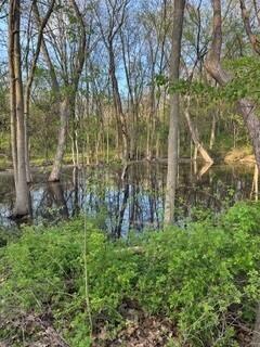 675 Marsh Road, Plainwell, MI, 49080