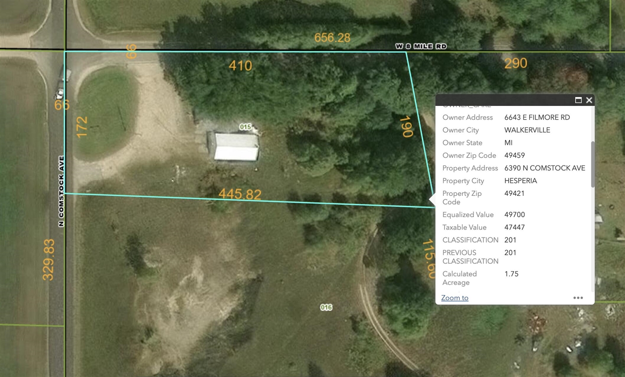 6390 N Comstock Avenue, Hesperia, MI, 49421-9213