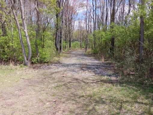 69802 Gumwood Road, Niles, MI, 49120-8431