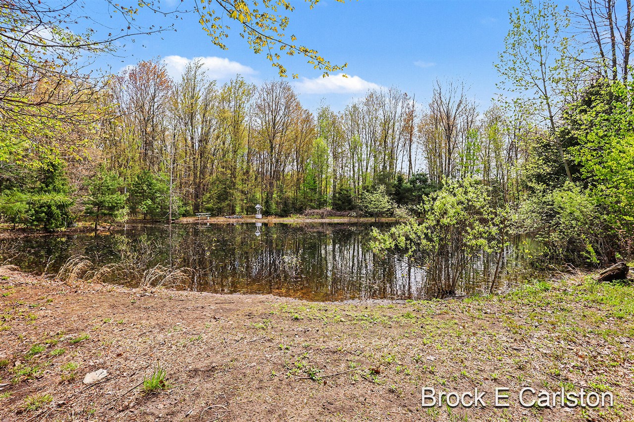 16944 136th Avenue, Nunica, MI, 49448-9780