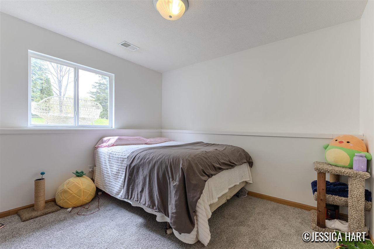 321 Pioneer Trail, Cedar Springs, MI, 49319