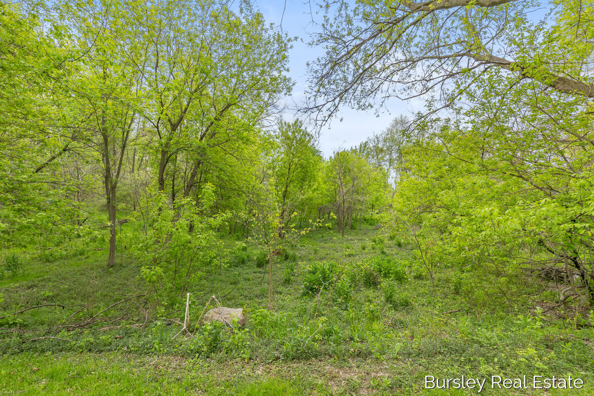 447 E Lincoln Avenue, Ionia, MI, 48846-1331