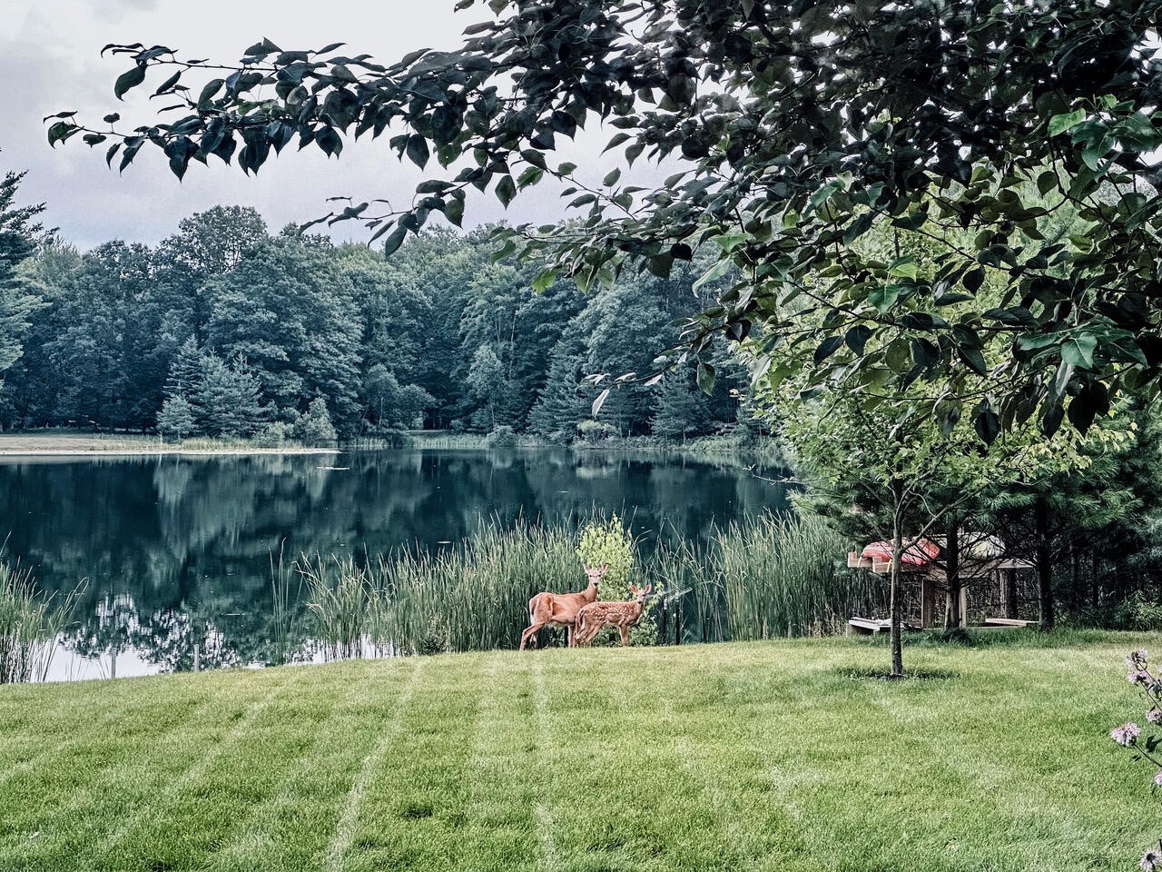 6619 Donegal Court, Canadian Lakes, MI, 49346-9128