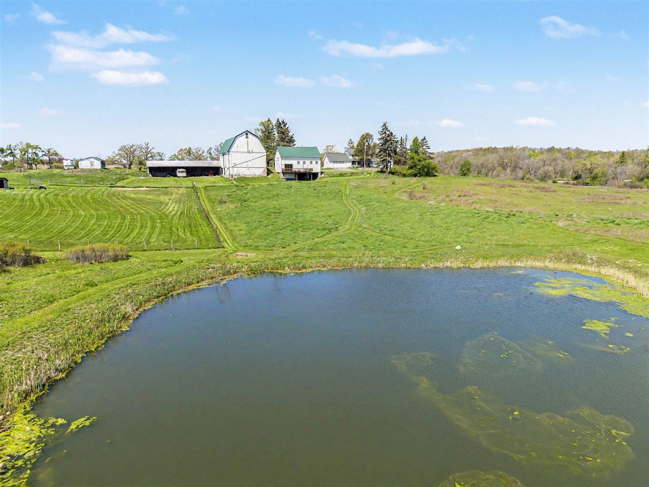8885 Burmeister Road, Saline, MI, 48176-9653