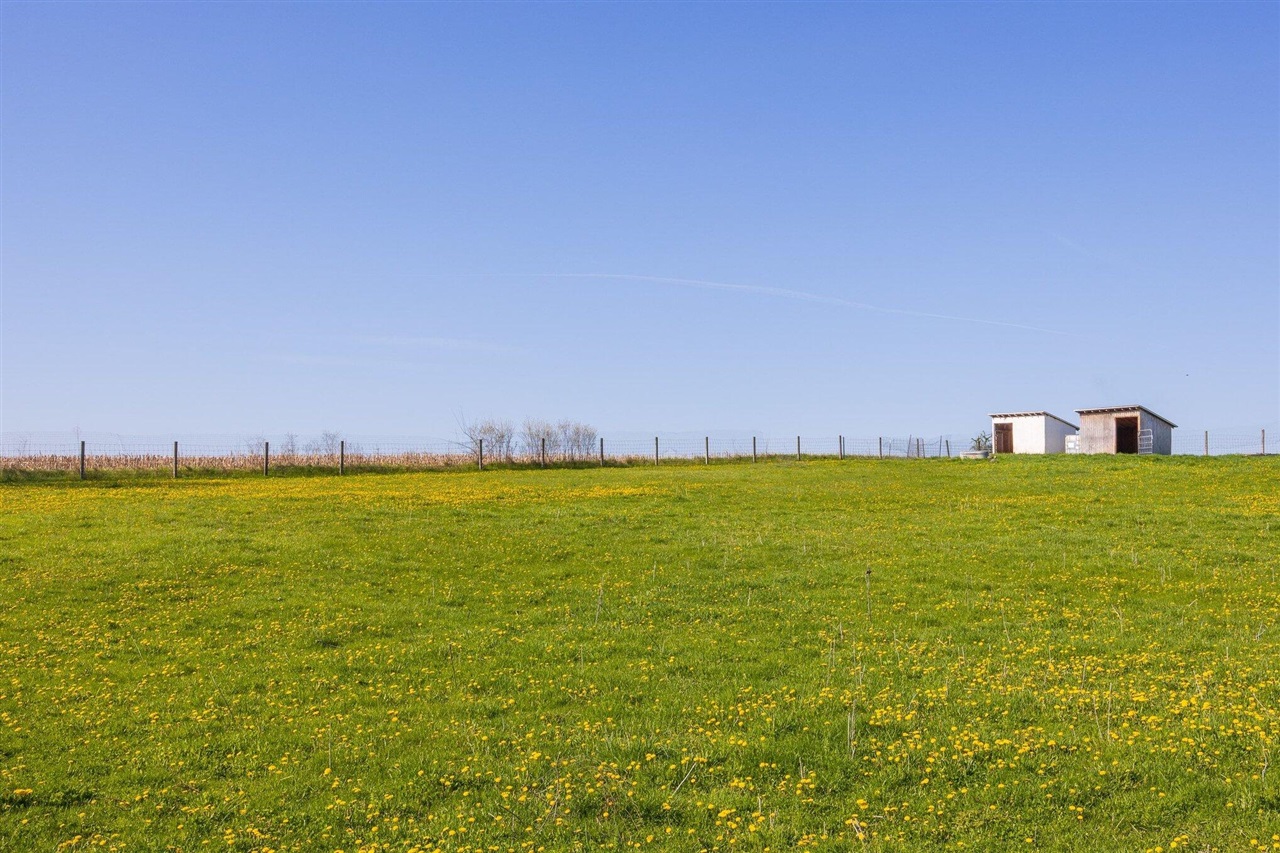 8885 Burmeister Road, Saline, MI, 48176-9653