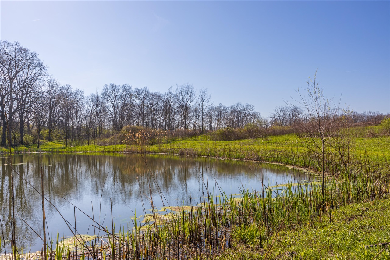 8885 Burmeister Road, Saline, MI, 48176-9653