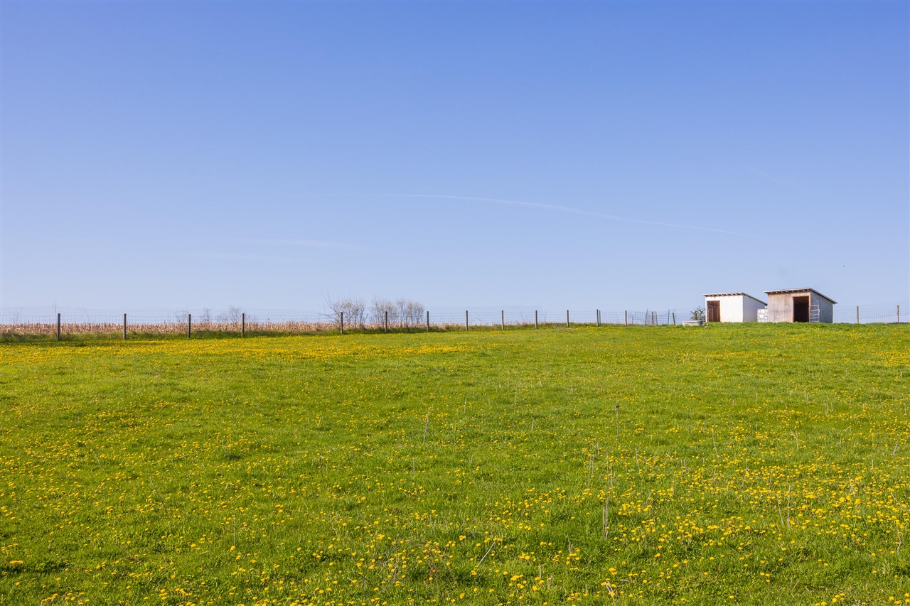 8885 Burmeister Road, Saline, MI, 48176-9653