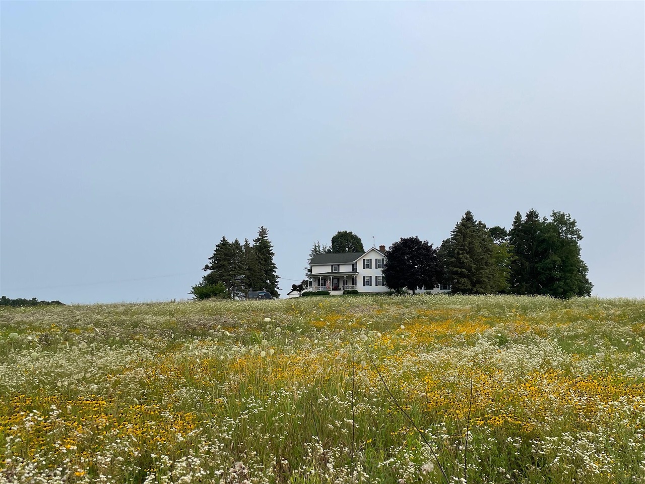 8885 Burmeister Road, Saline, MI, 48176-9653