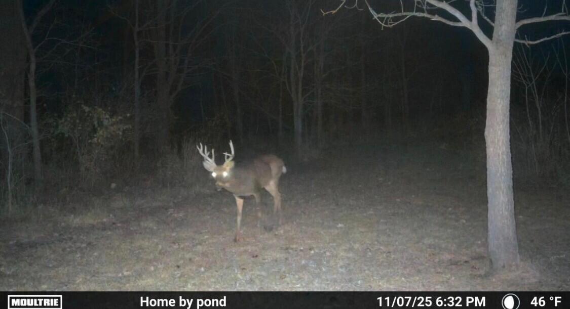 8885 Burmeister Road, Saline, MI, 48176-9653