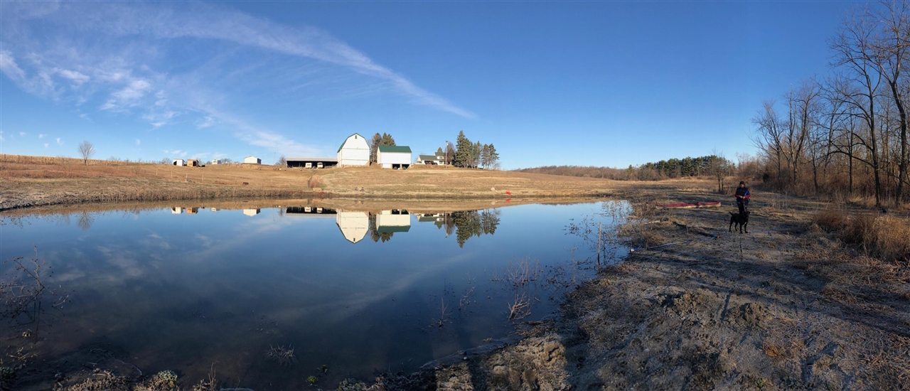 8885 Burmeister Road, Saline, MI, 48176-9653