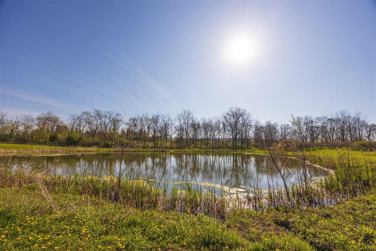 8885 Burmeister Road, Saline, MI, 48176-9653