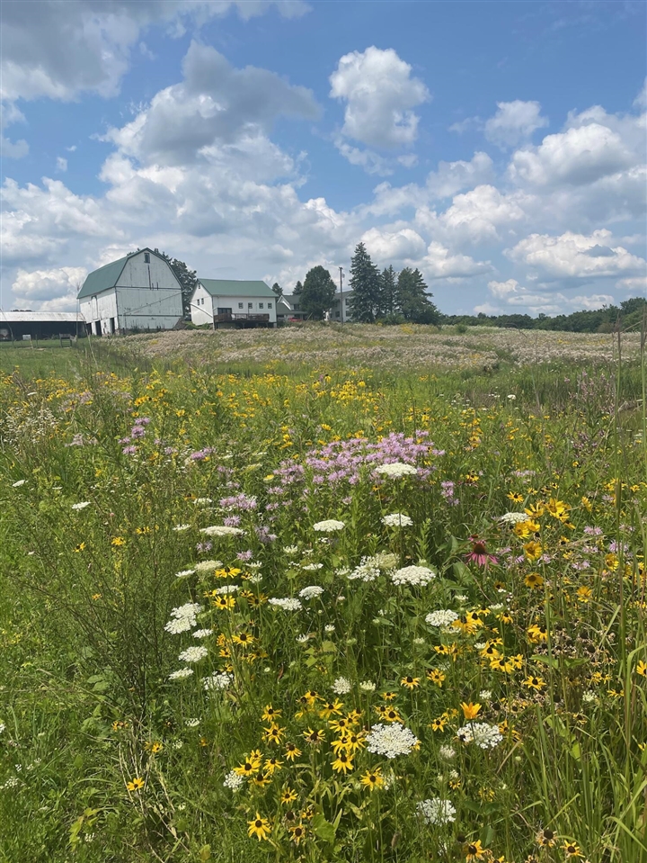 8885 Burmeister Road, Saline, MI, 48176-9653