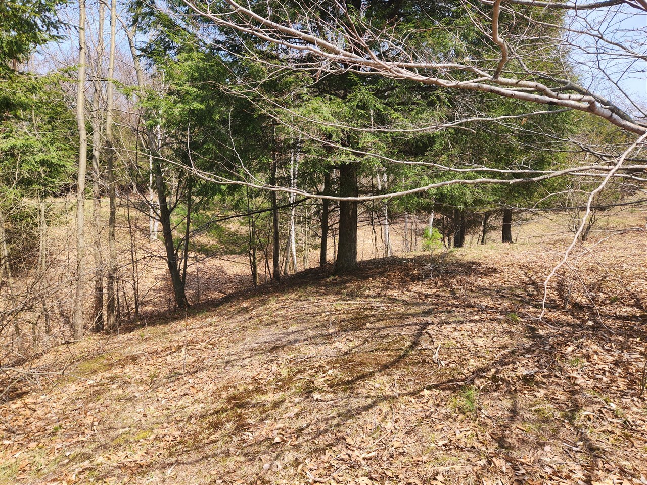 N Slope Drive, Onekama, MI, 49675