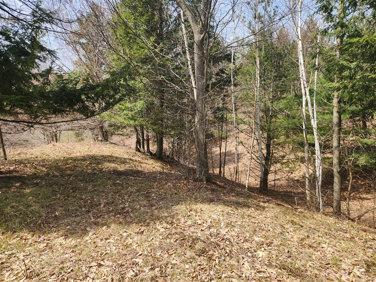 N Slope Drive, Onekama, MI, 49675