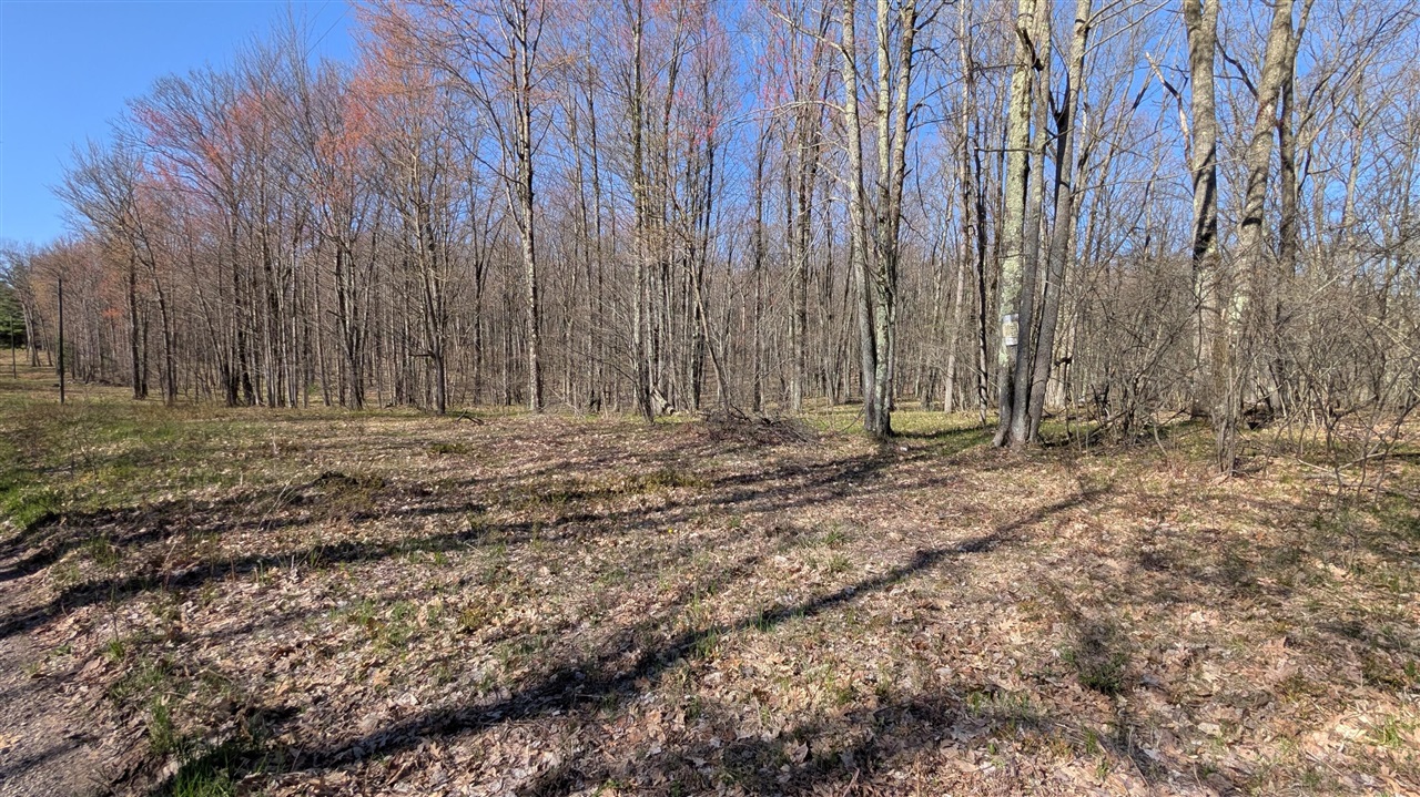 V/L Willow Avenue, Bitely, MI, 49309