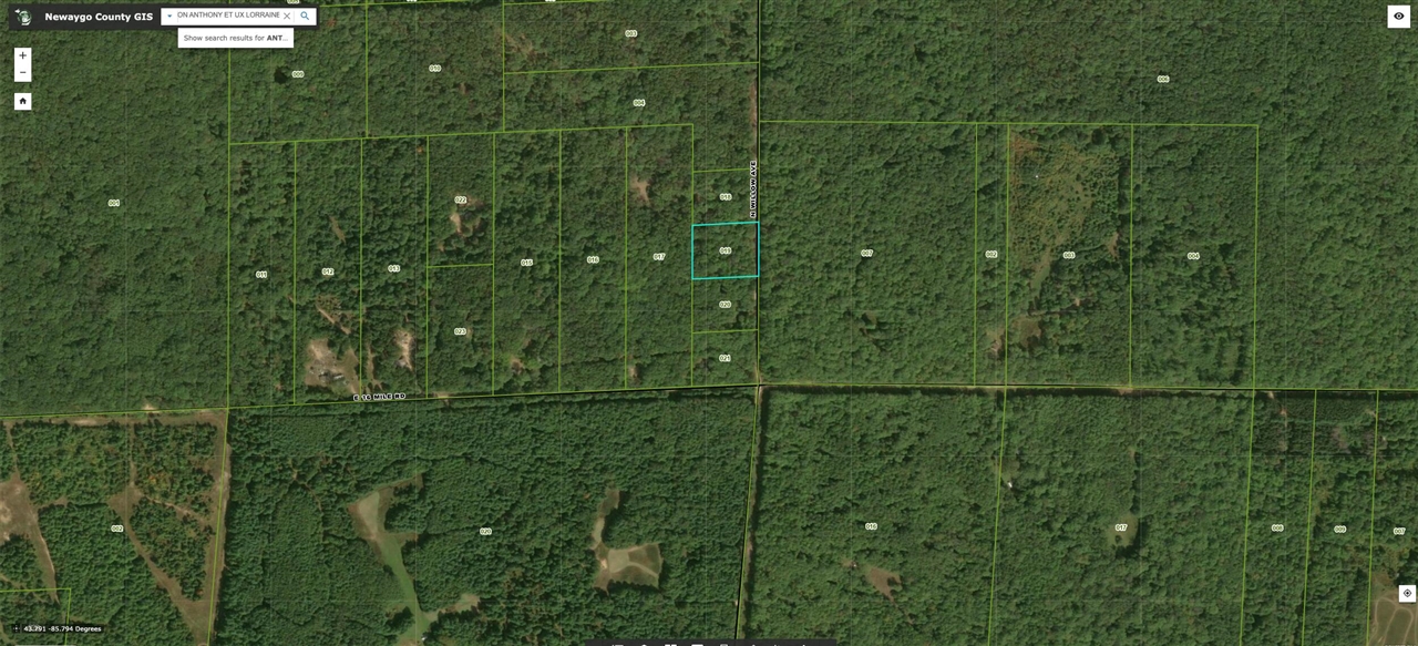 V/L Willow Avenue, Bitely, MI, 49309