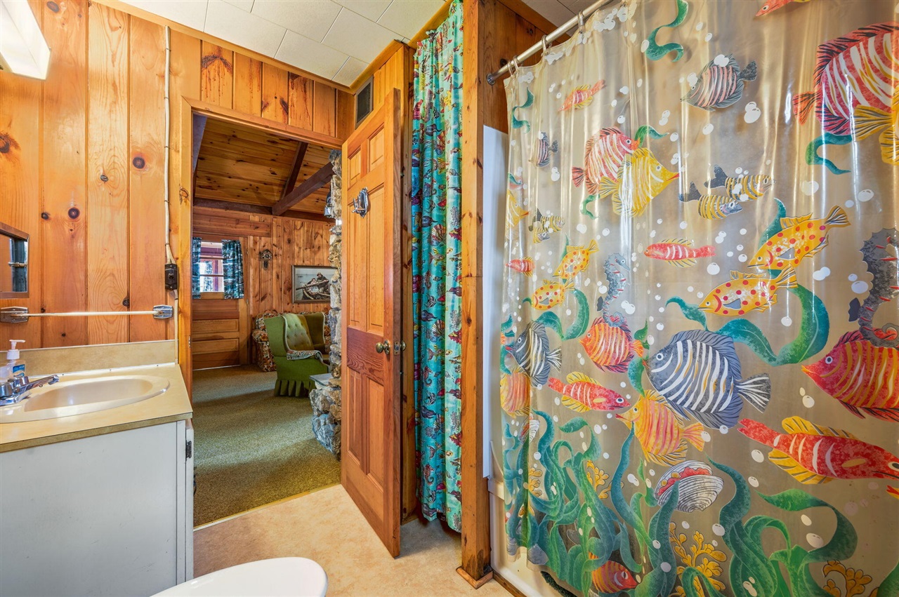5717 W Pleasant Hill Road, Free Soil, MI, 49411-9724