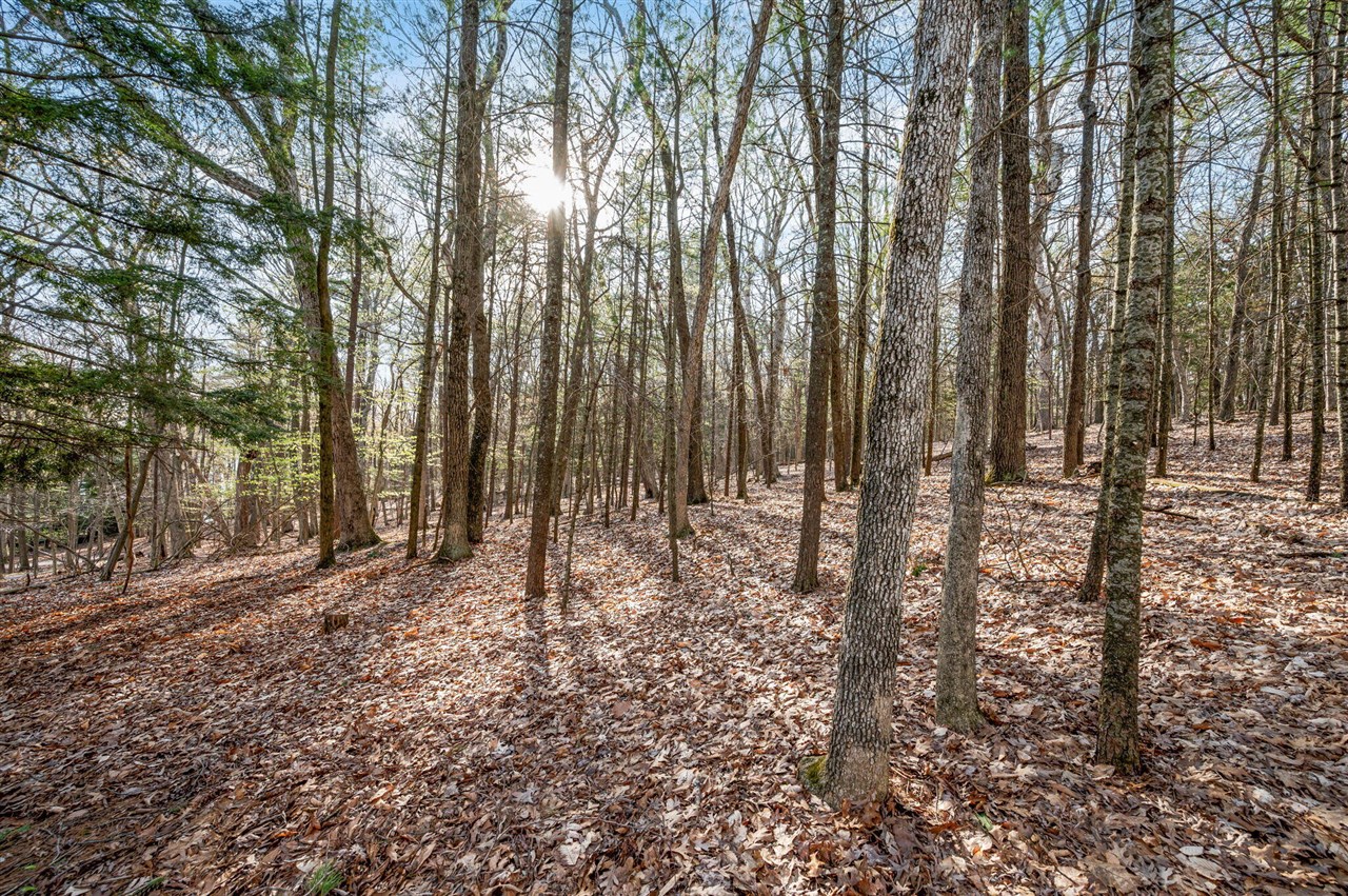 5717 W Pleasant Hill Road, Free Soil, MI, 49411-9724