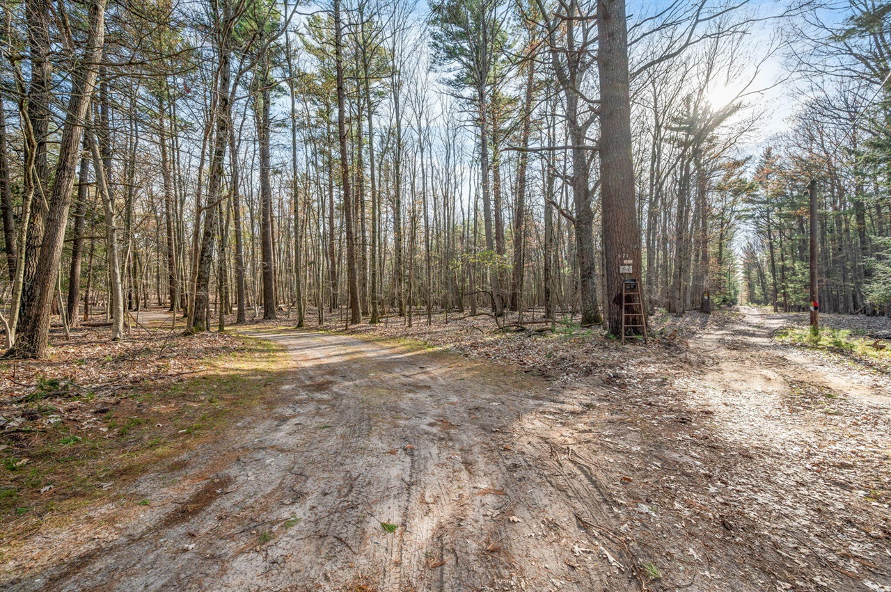 5717 W Pleasant Hill Road, Free Soil, MI, 49411-9724