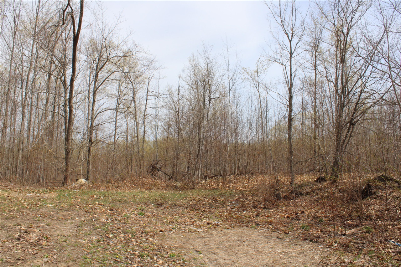8241 Anger Road, Mancelona, MI, 49659