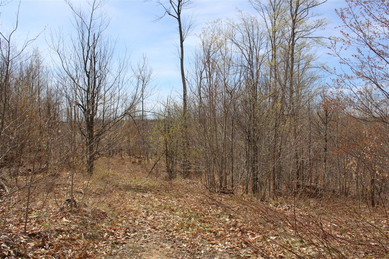 8241 Anger Road, Mancelona, MI, 49659