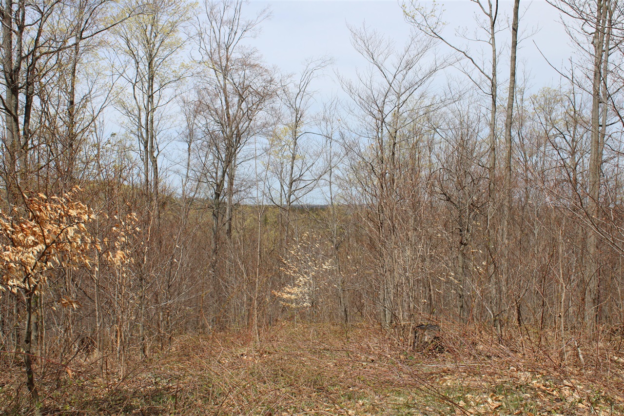 8241 Anger Road, Mancelona, MI, 49659