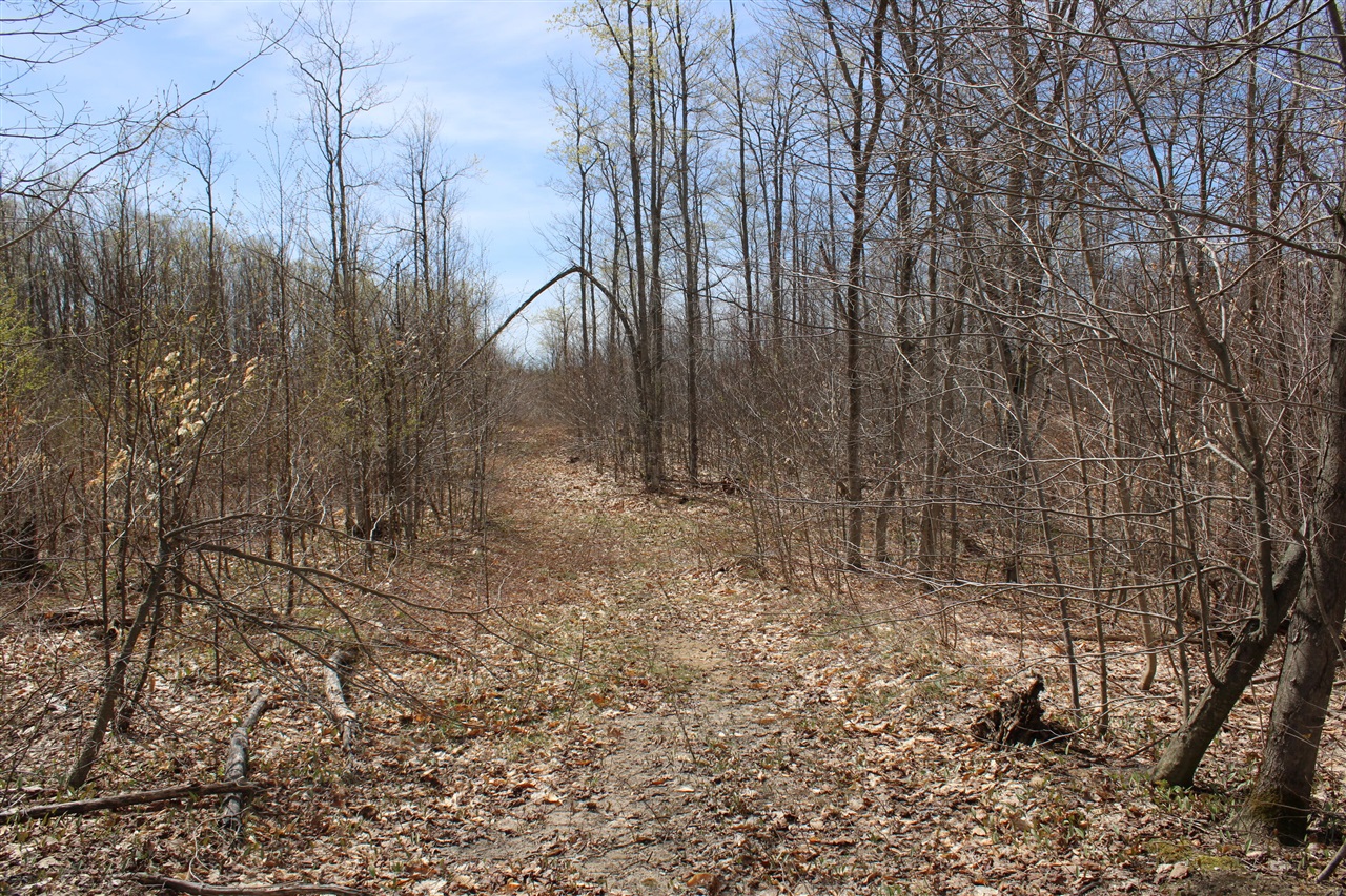 8241 Anger Road, Mancelona, MI, 49659