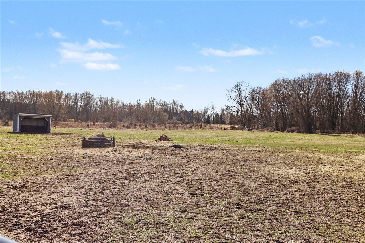 19250 Homer Road, Marshall, MI, 49068-9768