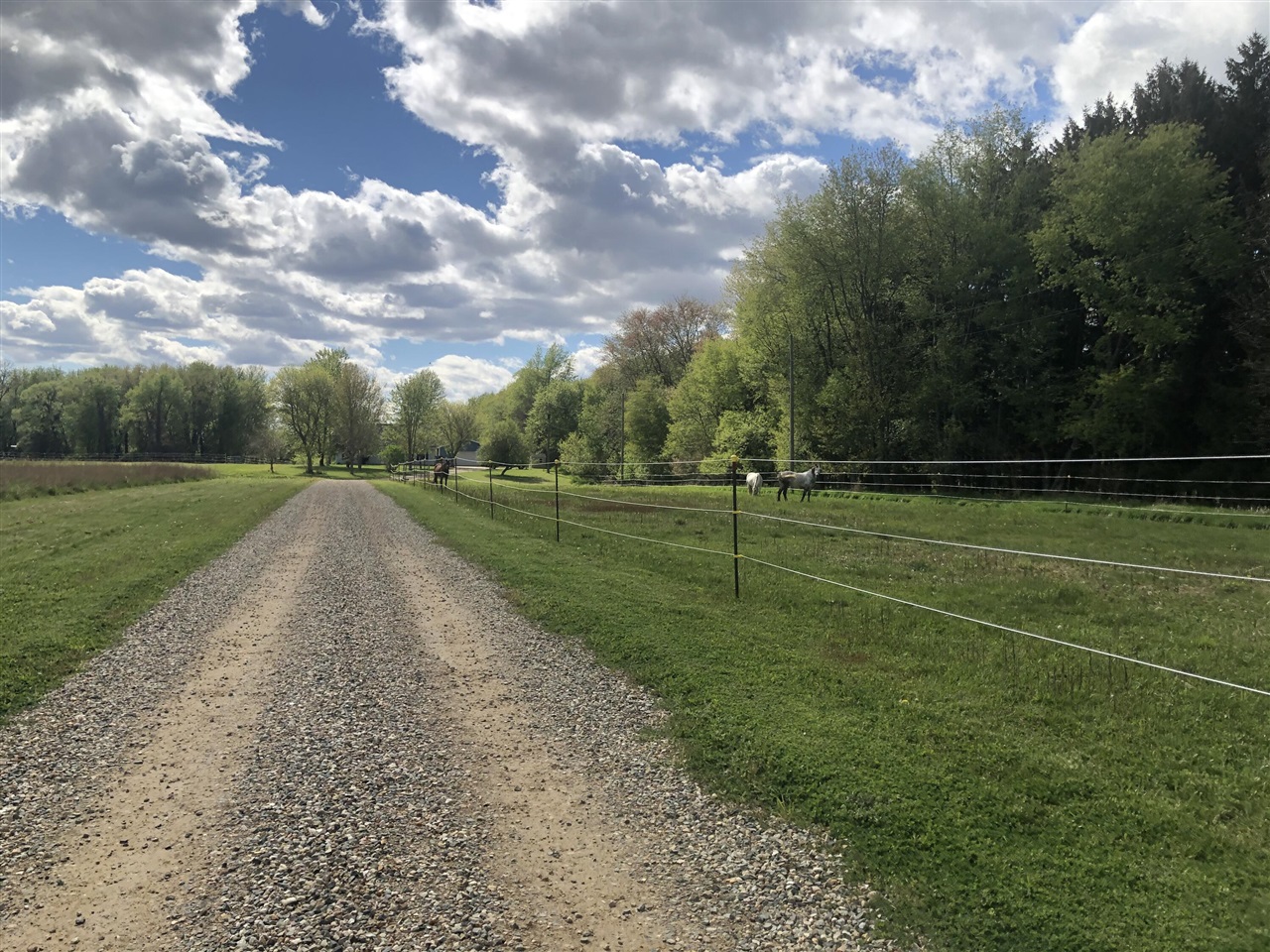 19250 Homer Road, Marshall, MI, 49068-9768
