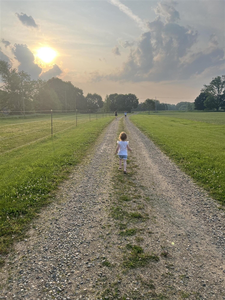 19250 Homer Road, Marshall, MI, 49068-9768