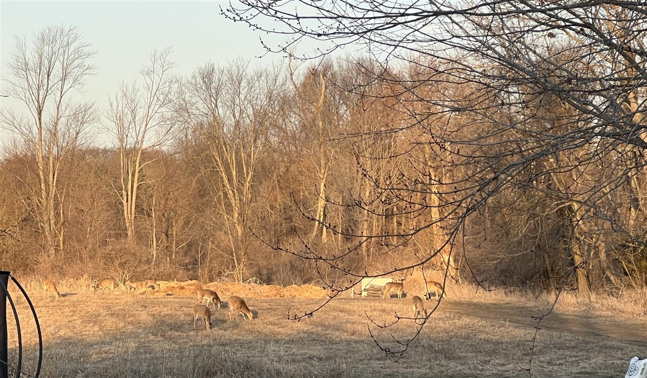 19250 Homer Road, Marshall, MI, 49068-9768