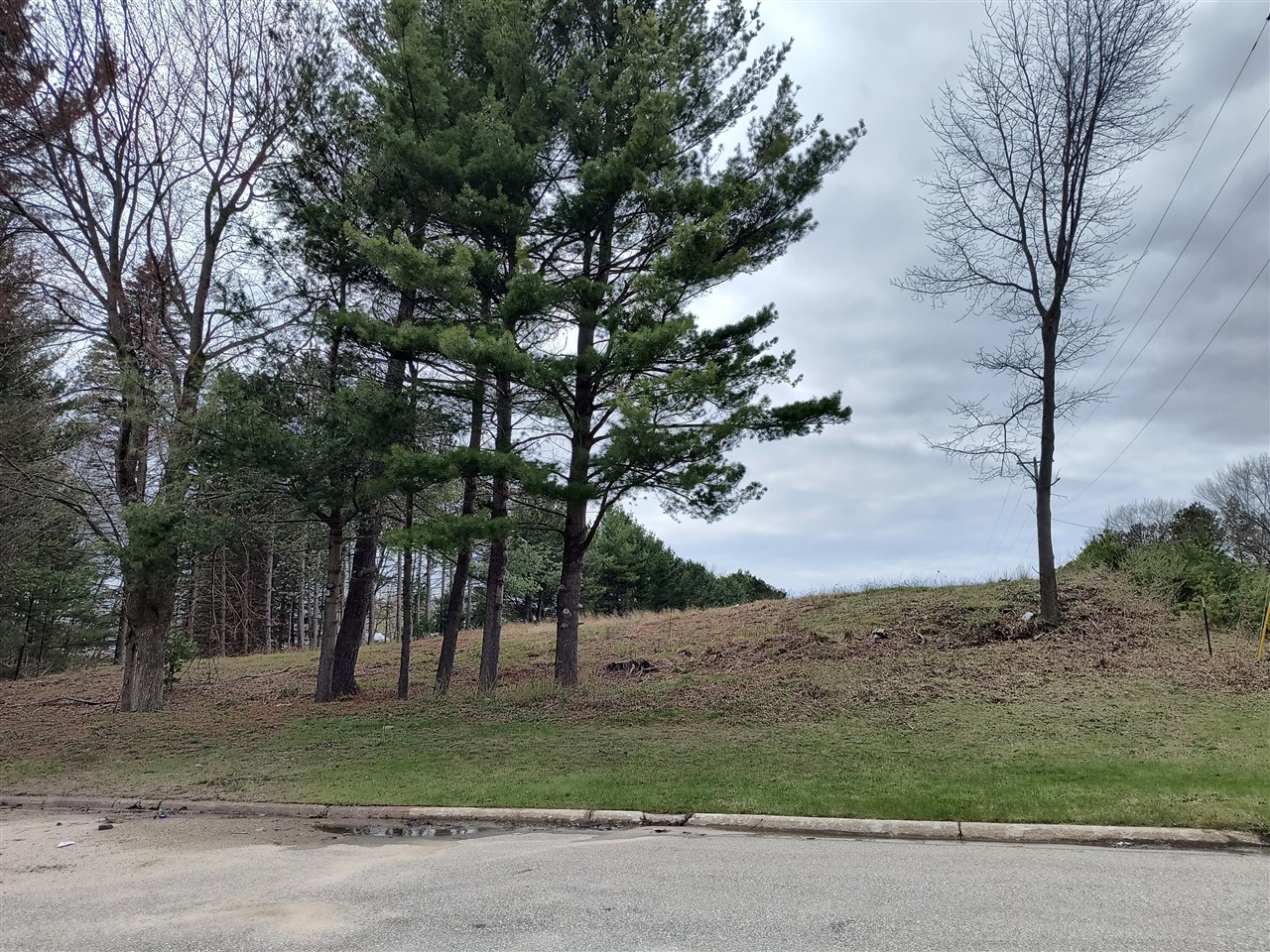 4675 John Harlan Drive, Ludington, MI, 49431-9301