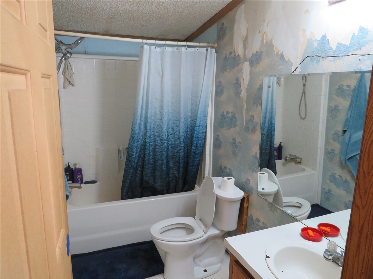 6800 170th Avenue, Stanwood, MI, 49346-8934