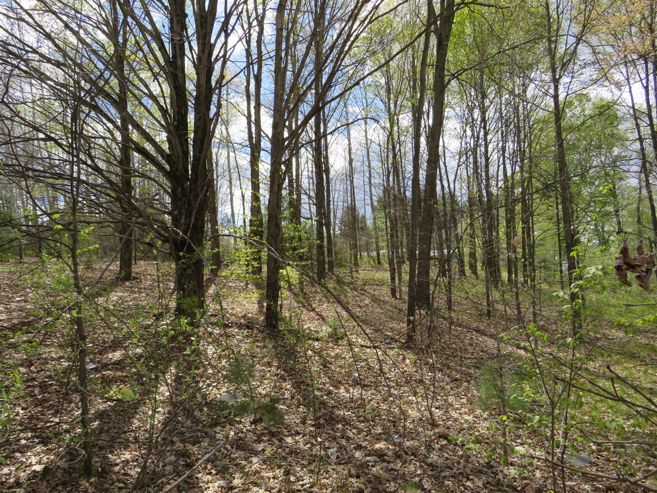 6800 170th Avenue, Stanwood, MI, 49346-8934