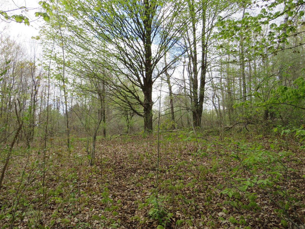 6800 170th Avenue, Stanwood, MI, 49346-8934