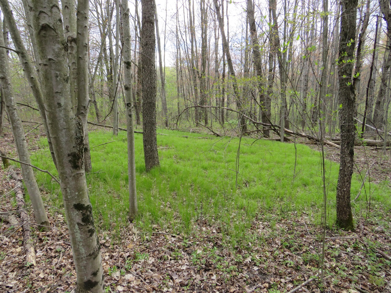 6800 170th Avenue, Stanwood, MI, 49346-8934