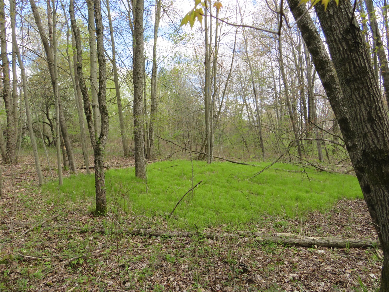 6800 170th Avenue, Stanwood, MI, 49346-8934