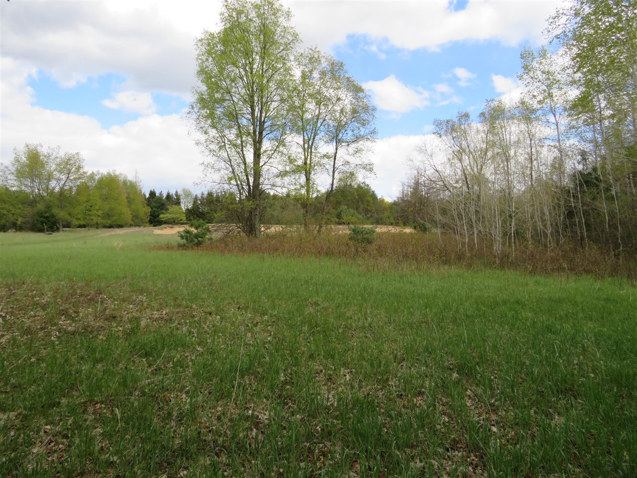 6800 170th Avenue, Stanwood, MI, 49346-8934