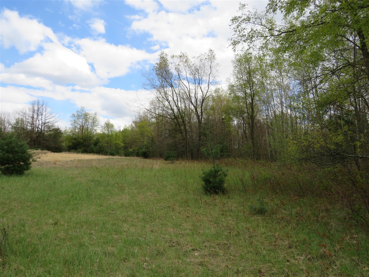 6800 170th Avenue, Stanwood, MI, 49346-8934