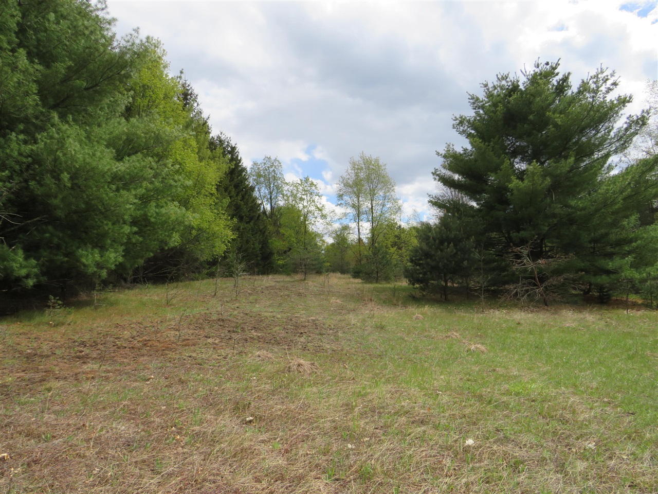 6800 170th Avenue, Stanwood, MI, 49346-8934