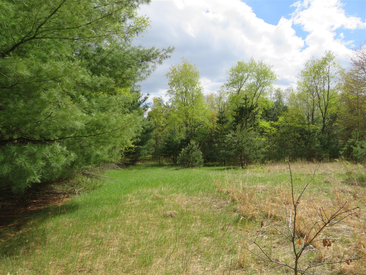 6800 170th Avenue, Stanwood, MI, 49346-8934