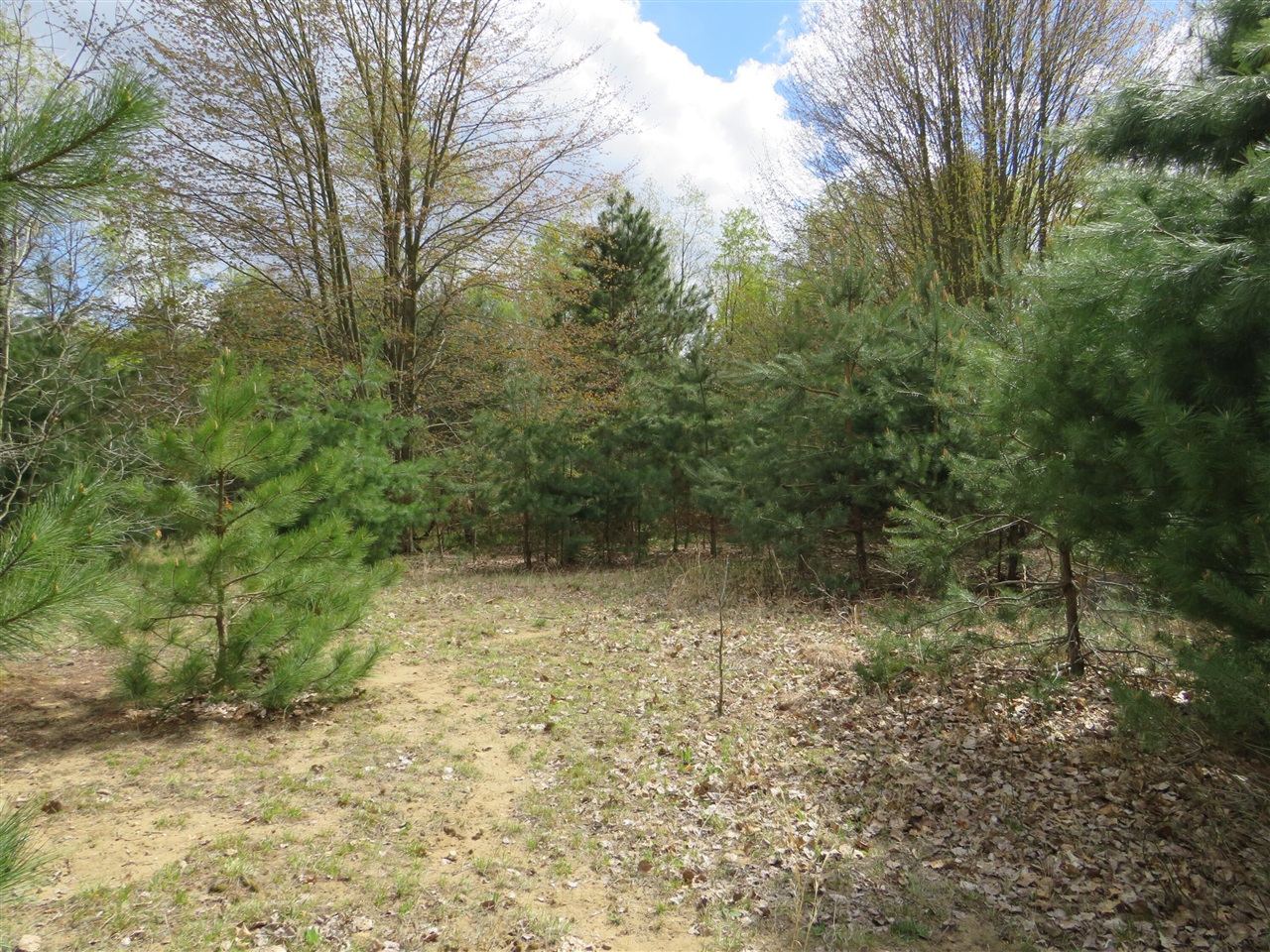 6800 170th Avenue, Stanwood, MI, 49346-8934