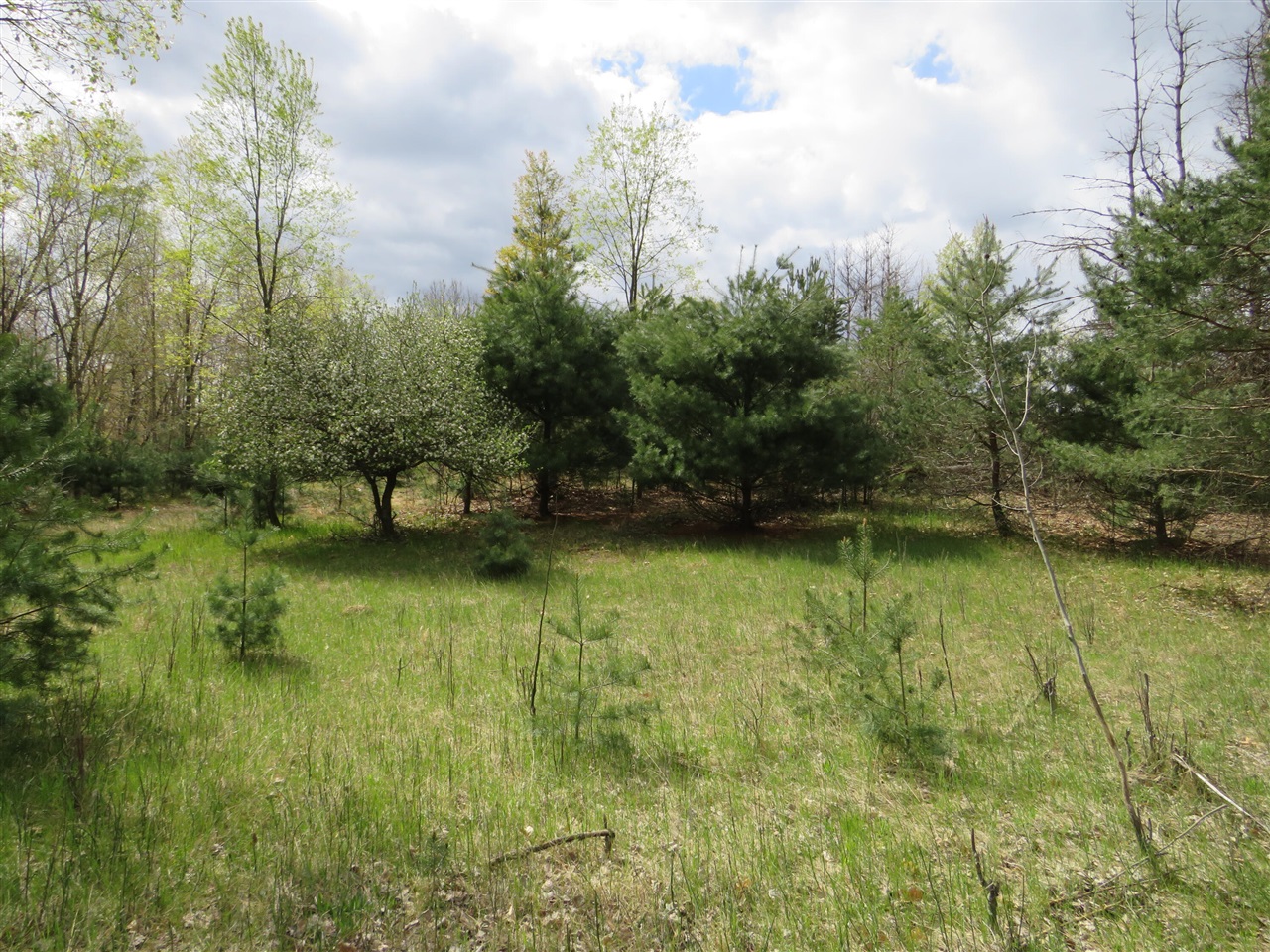 6800 170th Avenue, Stanwood, MI, 49346-8934