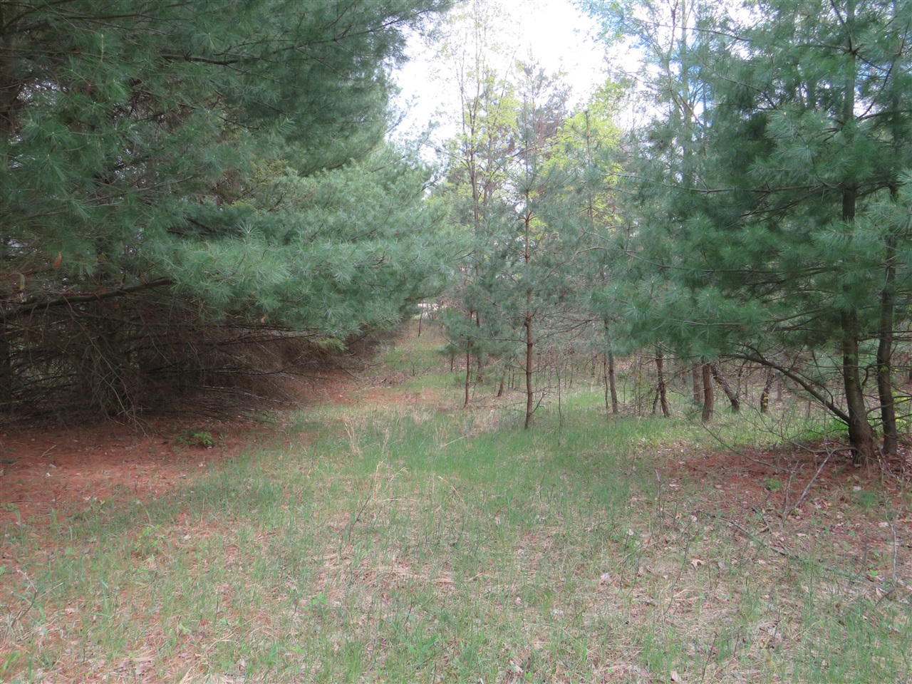 6800 170th Avenue, Stanwood, MI, 49346-8934